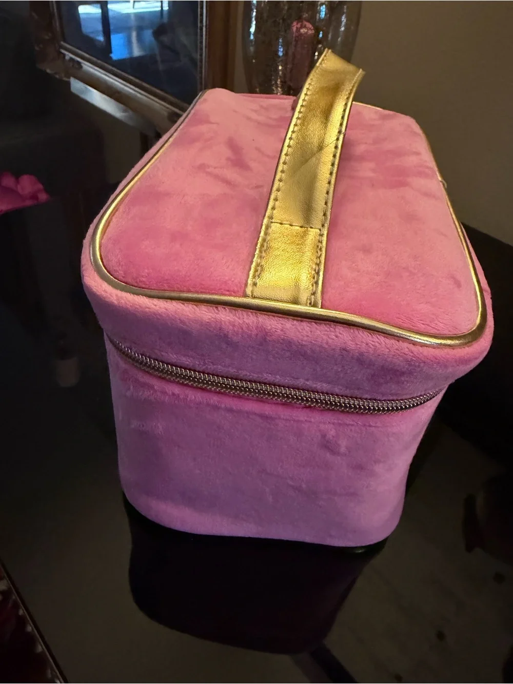 NWOT Juicy Couture Pink Plush Cosmetic Train Case with Gold Trim Scottie Dogs